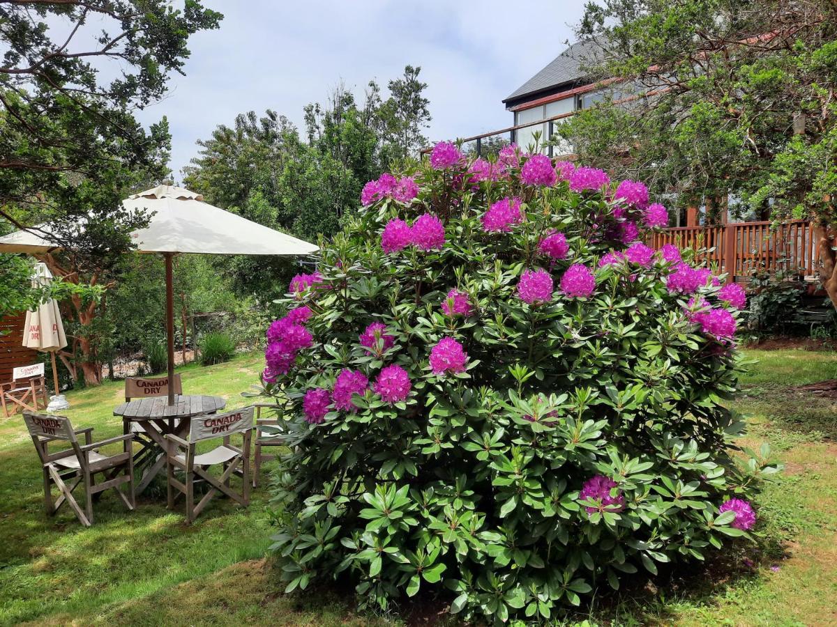 Hostel Torobayo 발디비아 외부 사진