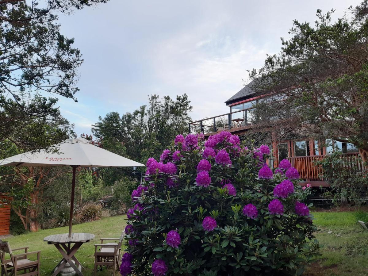 Hostel Torobayo 발디비아 외부 사진